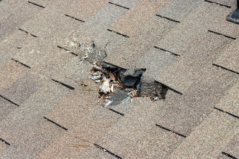 Damaged Roof Replacement in Chittenden County, VT